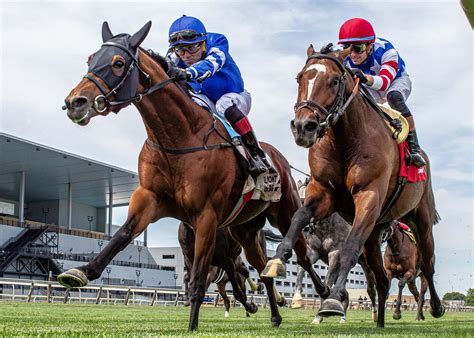 2024 Belmont Stakes Odds, Best Bets: Expert Picks to Win, .